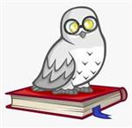 Harry Potter Owl and Book 